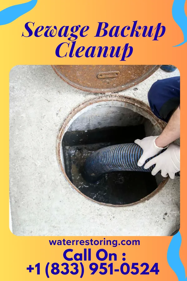 Sewage Backup Cleanup in Sheboygan, WI